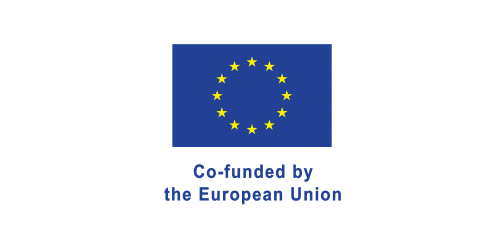 Co-funded by the European Union